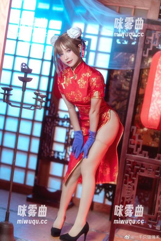 如何把小黑塔拍得如此高清，一千只猫薄禾真有两把刷子！-咪雾曲